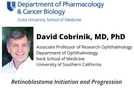 David Cobrinik, MD, PhD 092524 flyer